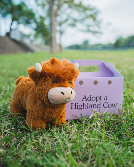 Realistic Highland Cow Plush Toy Made of Soft Cotton – Bovino