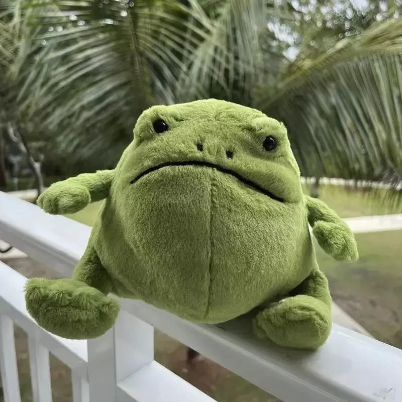 New 20Cm Doll Rain Frog Plush Toy Cartoon Frog Doll Toy Children'S Gift